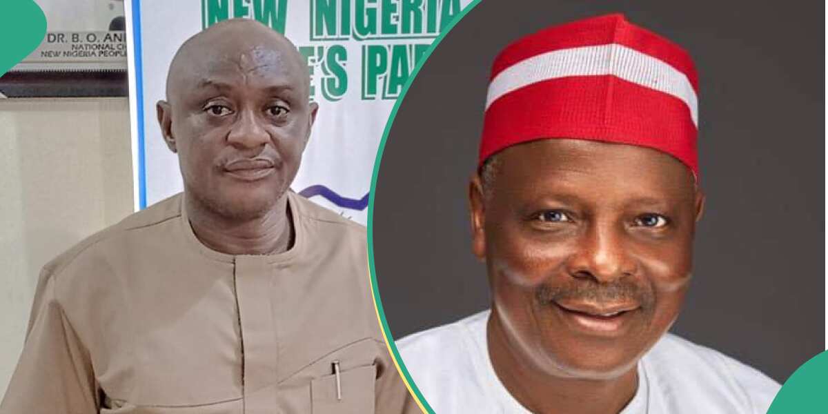 Kano Emirate: Drama as NNPP Denies Kwankwaso Over Alleged Letter Sent to Lawmakers, Details Surface