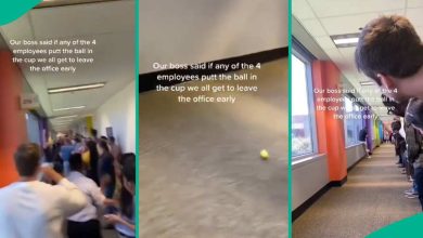 Engaging Workplace Fun: Employees Participate in a Competitive Cup-and-Ball Challenge