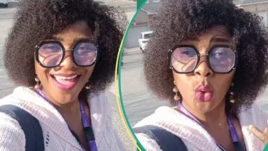 Nigerian Woman Bags Dream Job in Canada after 2 Months of Applying, Video Trends Online