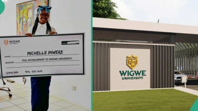 Wigwe University: Young Lady Awarded Full Scholarship to Study at Most Expensive Varsity in Nigeria