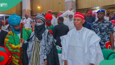 Kano Emirate tussle: Shock as Judge threatens top gov's aide, reason emerges